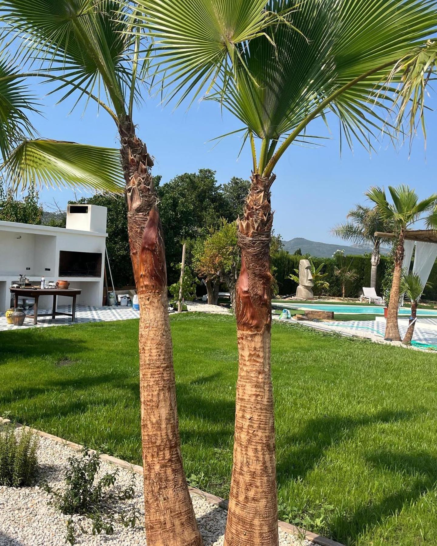Casanoa Luxury Villa Bed And Breakfast Jávea Exterior foto